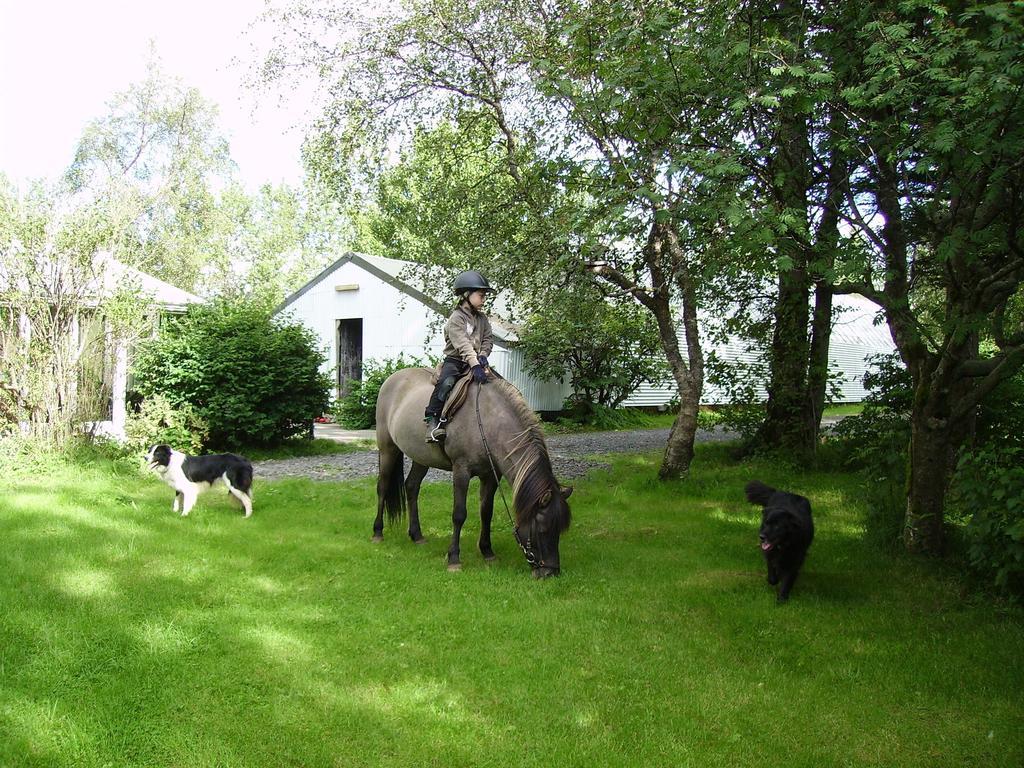 Arbakki Farmhouse Lodge Рейкхолт Екстериор снимка